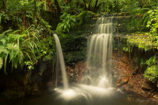 Waterfall tropical forest nature matte - tropical free wallpaper