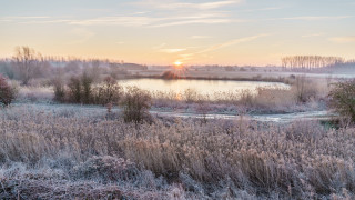 Lake trees sunset ecological puzzle - tall grass and trees free wallpaper