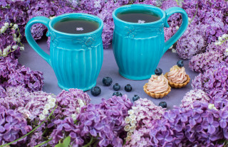 Blueberries purple lilacs coffee mugs - erin hanson free wallpaper