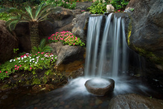 Waterfall garden rocks flowers plant - rock free wallpaper