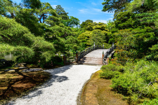 Bridge river forest path bench - a path free wallpaper