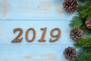 Wooden sign 2019 pine cones - pine free wallpaper