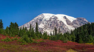 Snowy mountain forest blue sky 2 - blue sky in the background free wallpaper