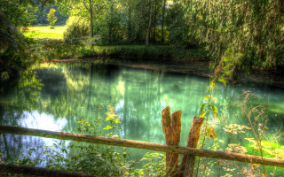 Pond trees fence wooden post - tree and a fence free wallpaper