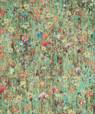 Field of flowers green background - a field of flowers free wallpaper