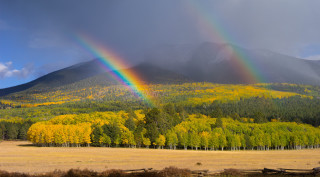 Rainbow mountains forest sky nature - a forest of trees free wallpaper