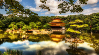 Pagoda park pond trees cloudy - a pond and trees free wallpaper