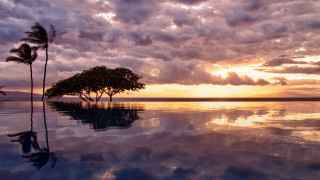 Sunset tree water reflection clouds 2 - amazing free wallpaper