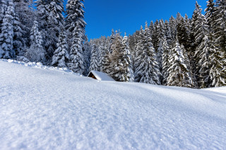 Snowy hill trees cabin blue - a snowy hill free wallpaper