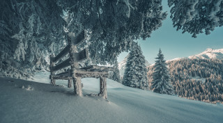 Snowy forest bench mountains winter - german romanticism free wallpaper