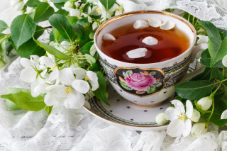 Tea rose white flowers lace - dorothy coke free wallpaper
