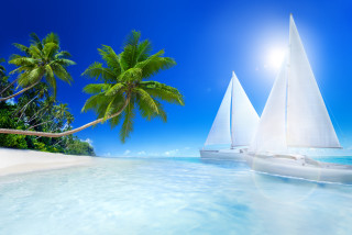 Tropical beach sailboat palm trees - tropical free wallpaper
