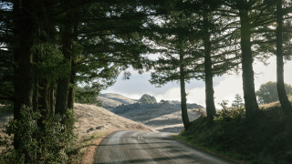 Road trees hill clouds nature - tree and a hill in the background free wallpaper
