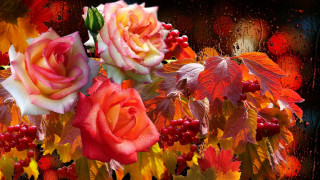 Rainy rose bouquet autumn leaves - a bouquet of roses free wallpaper