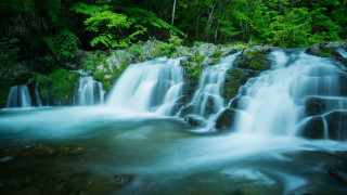 Waterfall forest green trees nature - a bunch of water free wallpaper