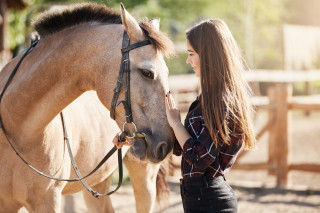 Woman horse stable outdoors blurry - a stock photo free wallpaper