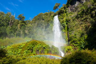Waterfall rainbow trees nature matte 2 - a rainbow in the middle of it free wallpaper