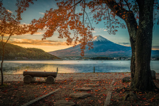 Bench tree lake mountain sunset - sunset free wallpaper