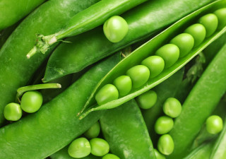 Peas closeup green pods white 2 - brenda chamberlain free wallpaper