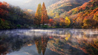 Lake mountain forest autumn fog - impressionist free wallpaper