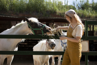 Woman horse hay corral storybook - the background and a building in the background free wallpaper