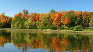 Lake autumn trees blue sky 2 - a lake free wallpaper