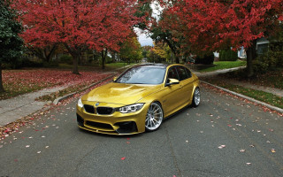 Yellow car autumn leaves forest - the side of a road next free wallpaper