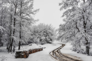 Snowy forest road fence bench - a matte painting free wallpaper