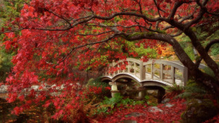 Bridge pond autumn leaves impessionist - impressionist free wallpaper