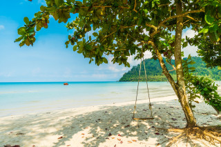 Beach swing boat tree sky - adrian zingg free wallpaper