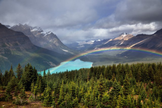 Rainbow lake mountains trees sky - a rainbow in the middle free wallpaper