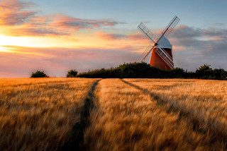 Windmill wheat field sunset trail - a path free wallpaper