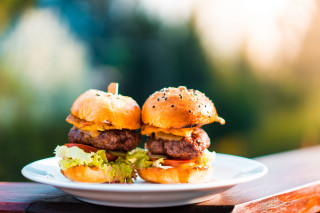 Plate hamburgers outdoor food photography - a blurry background of trees and bushes free wallpaper