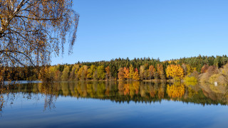 Autumn lake forest impressionist sunset - bálint kiss free wallpaper