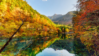 River mountain trees autumn leaves - a river free wallpaper for desktop