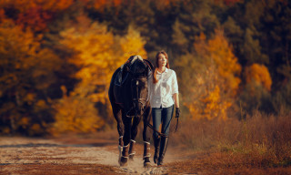 Woman horse woods autumn cinematic - a horse free wallpaper