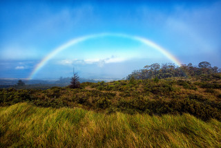 Rainbow over grassy hill with 3 - a blue sky free wallpaper