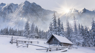 Mountain cabin snow forest sunbeam - a cabin free wallpaper