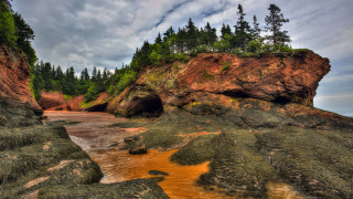 Rocky beach cave trees environmental - free landscape wallpaper