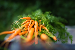 Carrots pile outdoor sun blurry - free other wallpaper