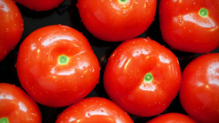 Tomatoes green spots water droplets - carpoforo tencalla free wallpaper