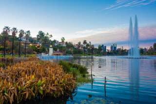 Lake fountain city palm trees 3 - elbridge ayer burbank free wallpaper