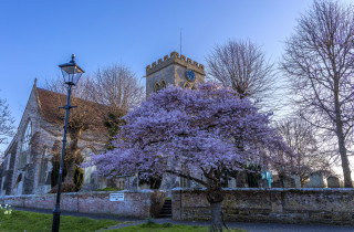 Purple flowered tree church clocktower - christopher wren free wallpaper