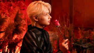 Young man rose red background - a rose free wallpaper