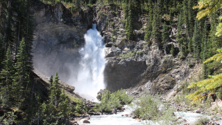 Waterfall mountain side trees river - free forest wallpaper