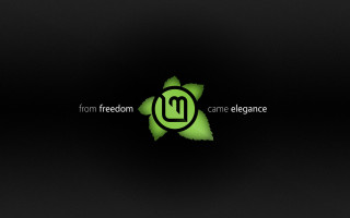 Green logo black background leaf - a green logo free wallpaper