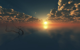 Tree branch water sunset cloudy - a cloudy sky in the background free wallpaper