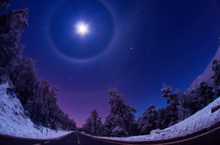 Road star trees snow moon - halo free wallpaper