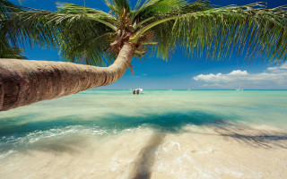 Palm beach boat sky clouds - a boat in the background free wallpaper
