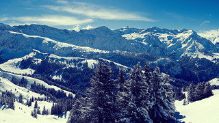 Snowy mountain trees clouds night - edi rama free wallpaper